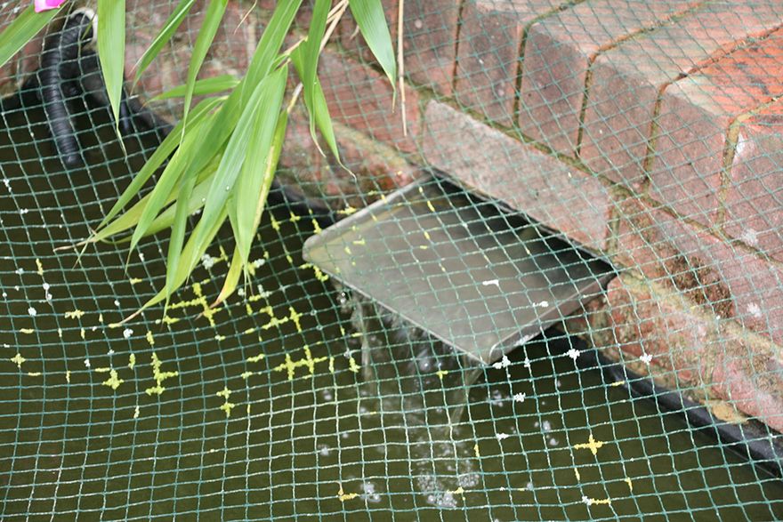 our gentle waterfall re-instated after three years...!