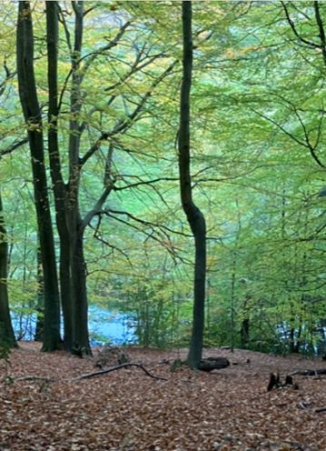 Autumn's on the way...