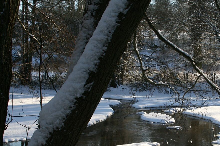 the Round Pond like something out of the film 'Frozen'...