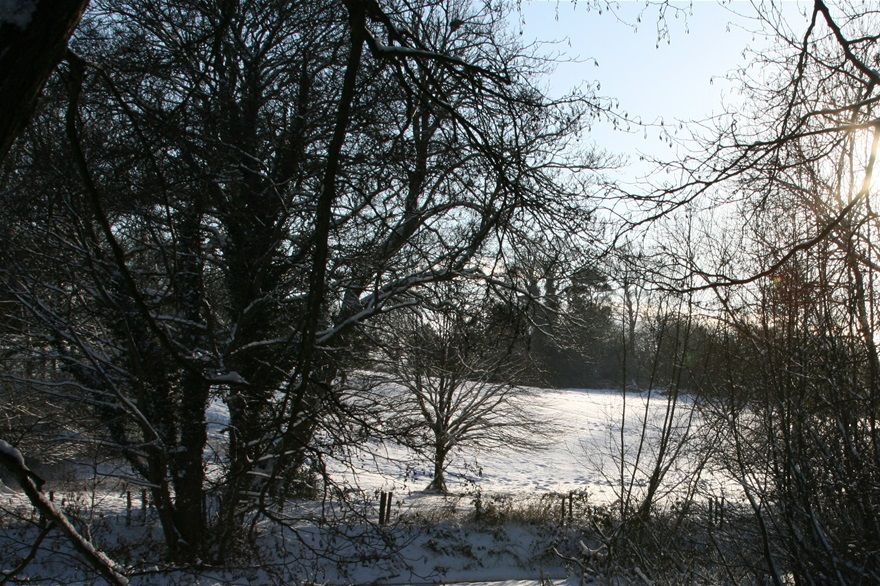 the wintry sun is low in the sky...