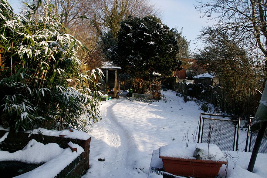 and by Thursday the back garden was under 4 inches of snow... brrr!