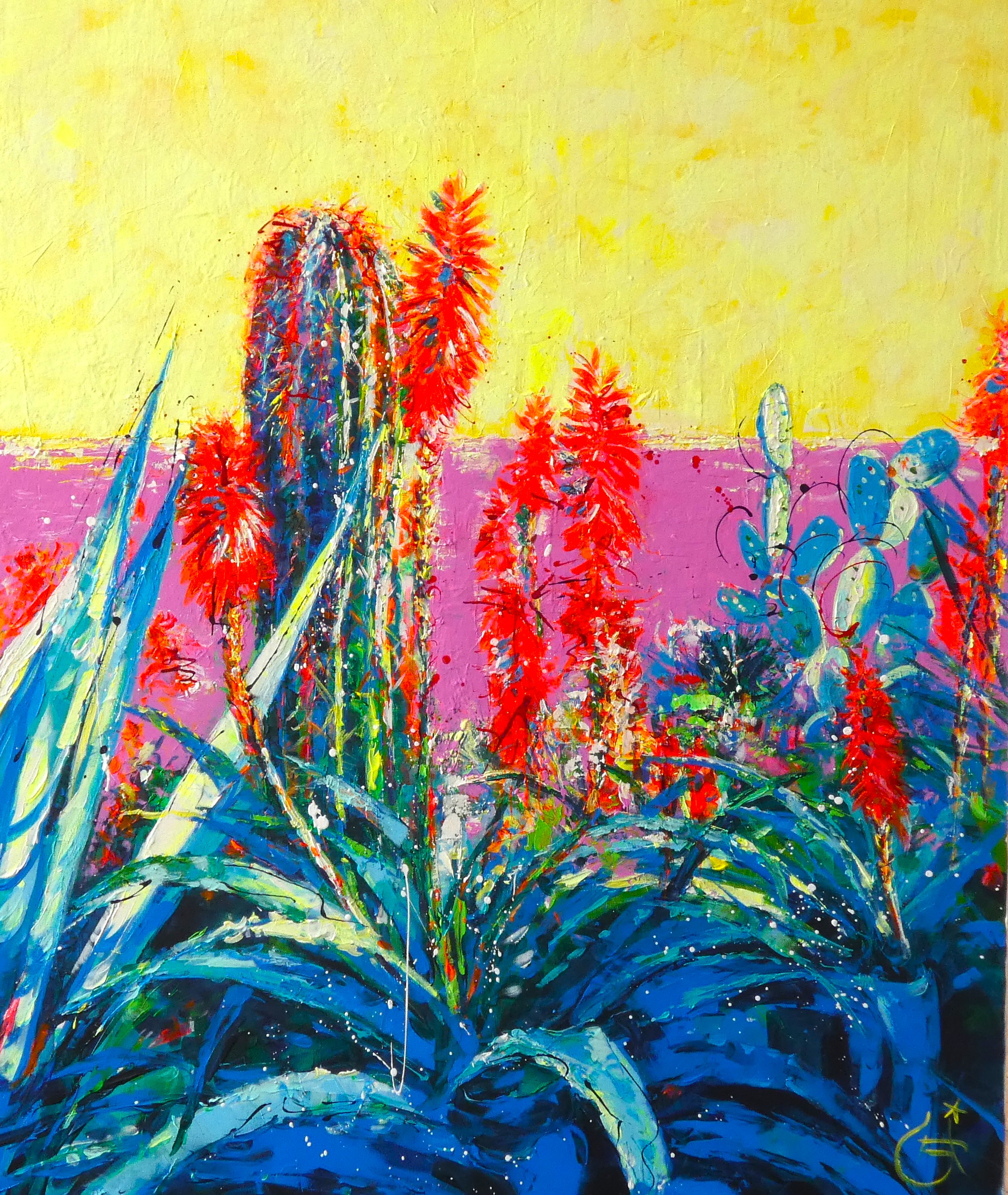 Les cactus du jardin d'Eze
