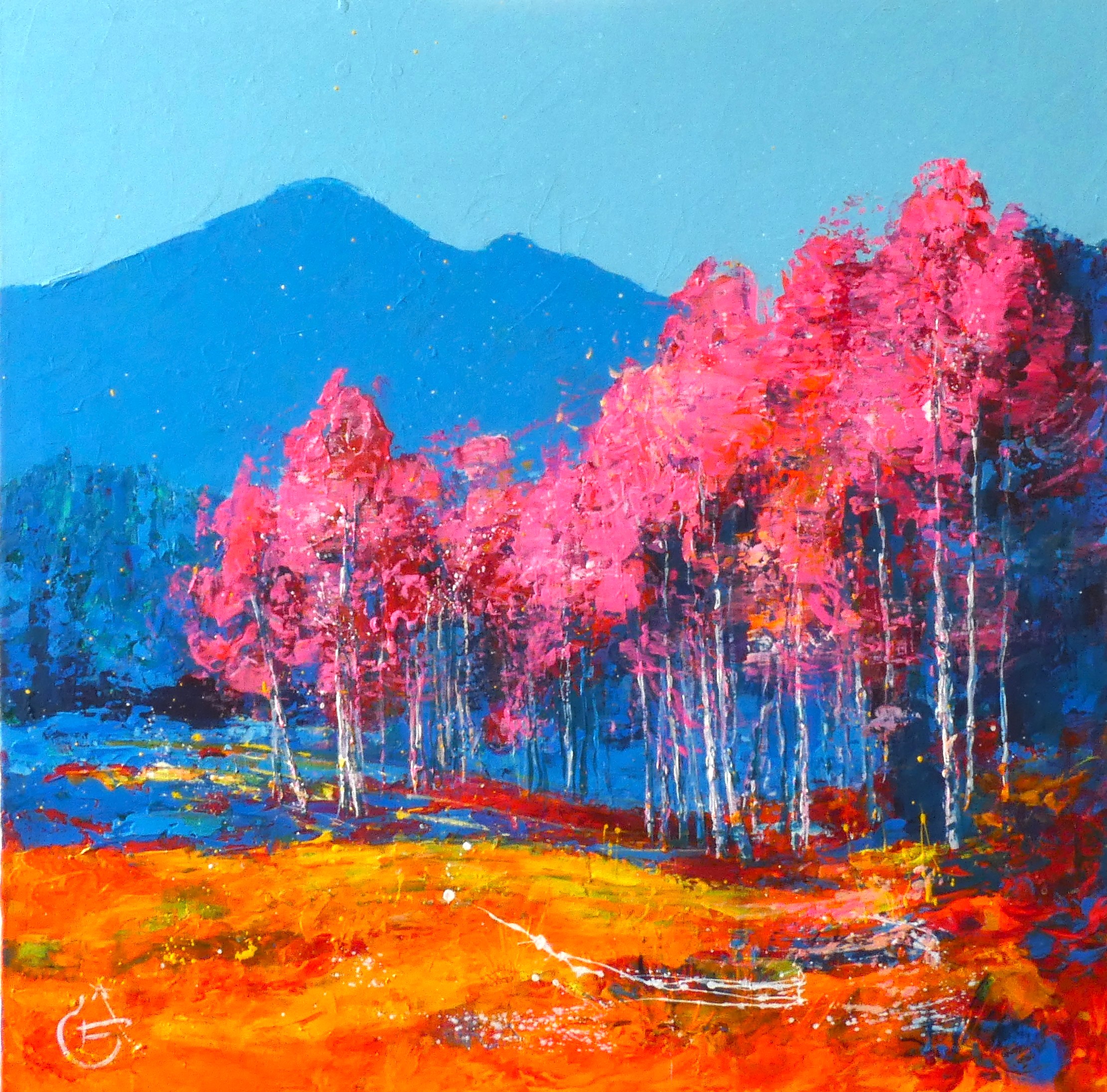 Les arbres "Barba papa"