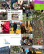 Gentofte LÆRING, IDRÆT OG VELVÆRE - GENTOFTE LIV