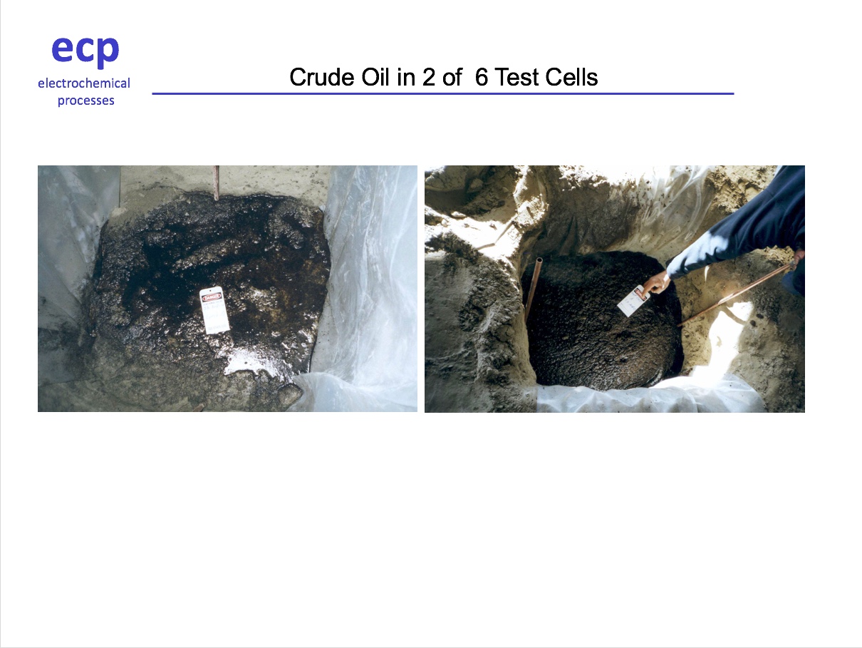 ECP 23