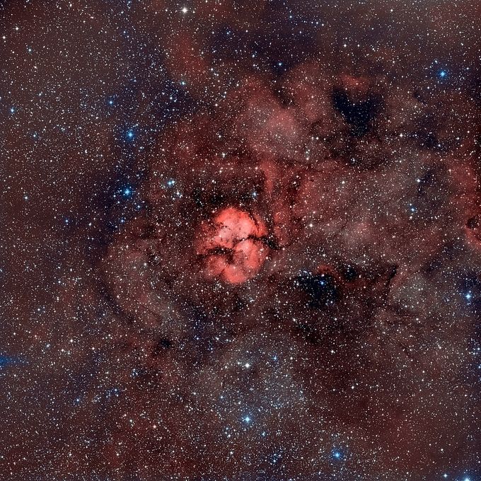 Sh2 124