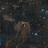 ngc 1555 