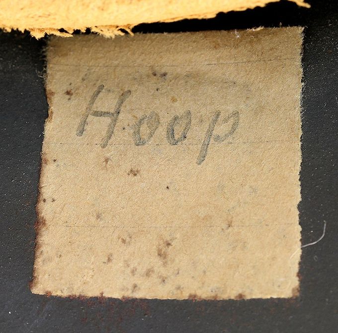 The name 
