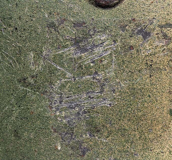 Close-up picture of the 