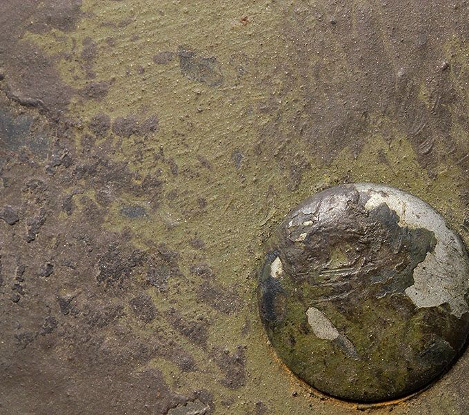 Close-up picture of one of the rivet heads.