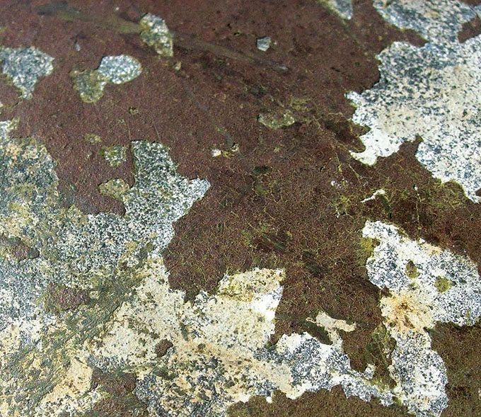 Close-up picture of the winter paint.