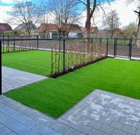 Tuin