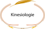 Kinesiologie