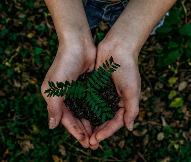 Retrofitting Strategies for Sustainable Business
