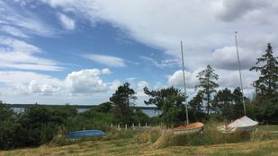 moselund_Faellesarealet