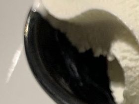 Dig in.... remember to cut with wet knife
