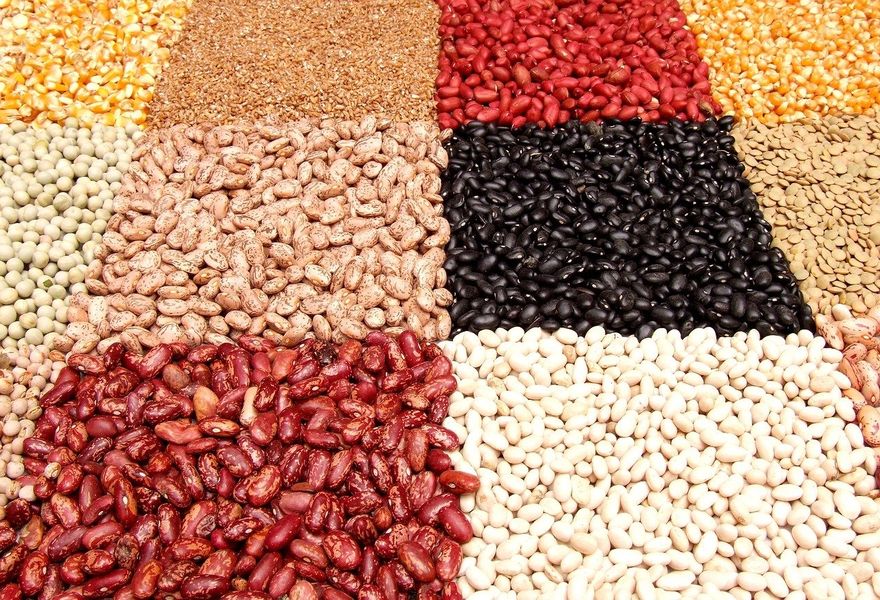 Beans, beans and more beans