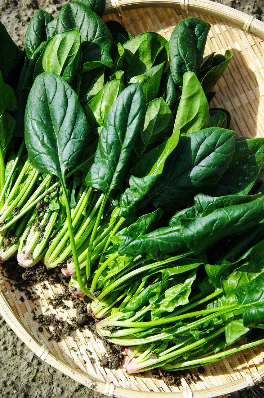 Spinach is loaded with iron....