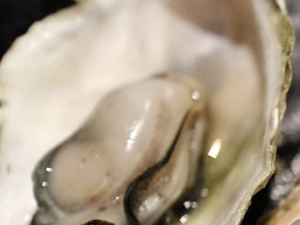 Oysters, mom's favorite. She would buy 1/2 dozen for herself because she was the only one who ate them. I wish I had tried one.