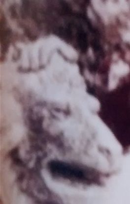 My mom after being engaged to my dad. Nice legs!