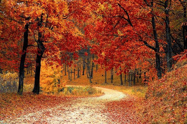 Memories of the Fall