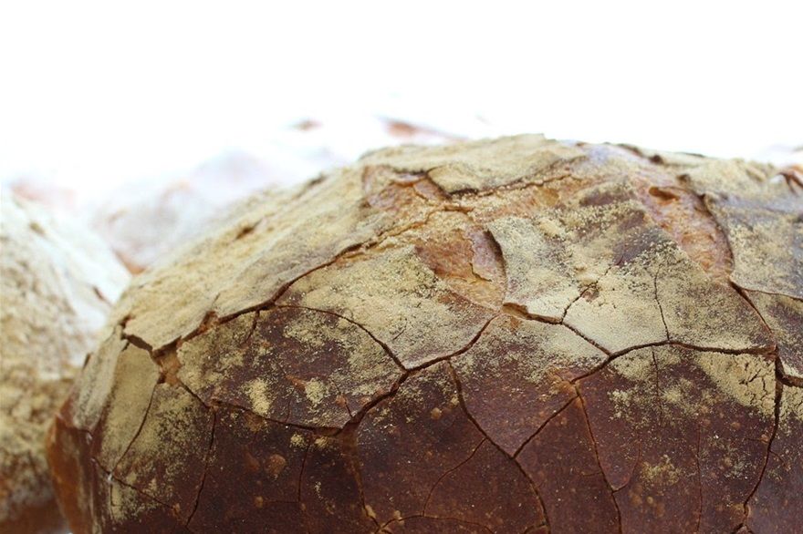 It all starts with the bread. The crust crackles when you cut it.