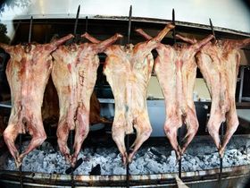 These are goats that were for sale at Easter.