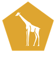 Giraffa Regnskab