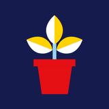 Treasurer