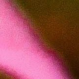 unsplash_O6N9RV2rzX8