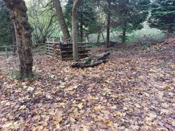 Autumn2315