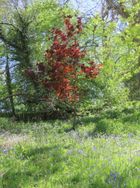 IMG_1403