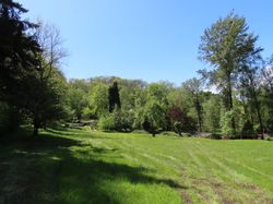 IMG_1424