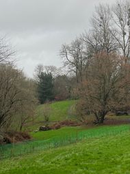 IMG_1827