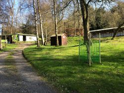 IMG_1984