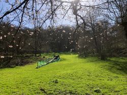 IMG_1998