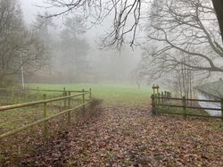 Misty wet Wednesday!