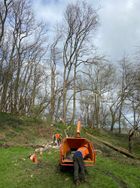 IMG_6086