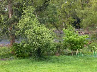 IMG_6995