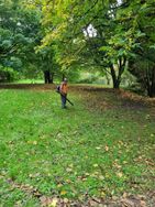 Leafblowing 1