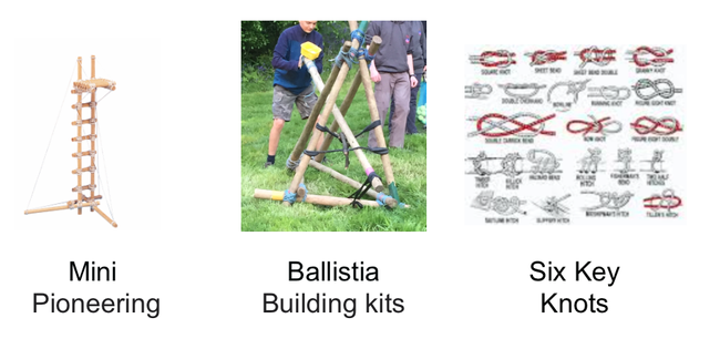 Pioneering 1