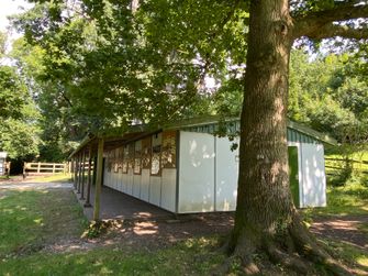 The Lodge 2