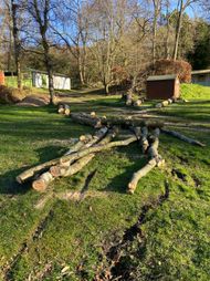 Tree Works 2