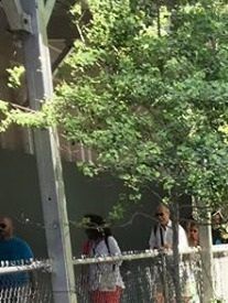 High Line Park