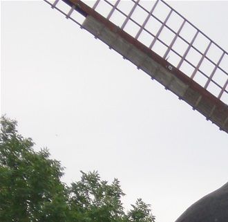 Botanisk hage  Malmø