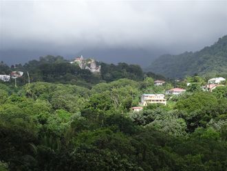 Martinique har en frodig regnskog