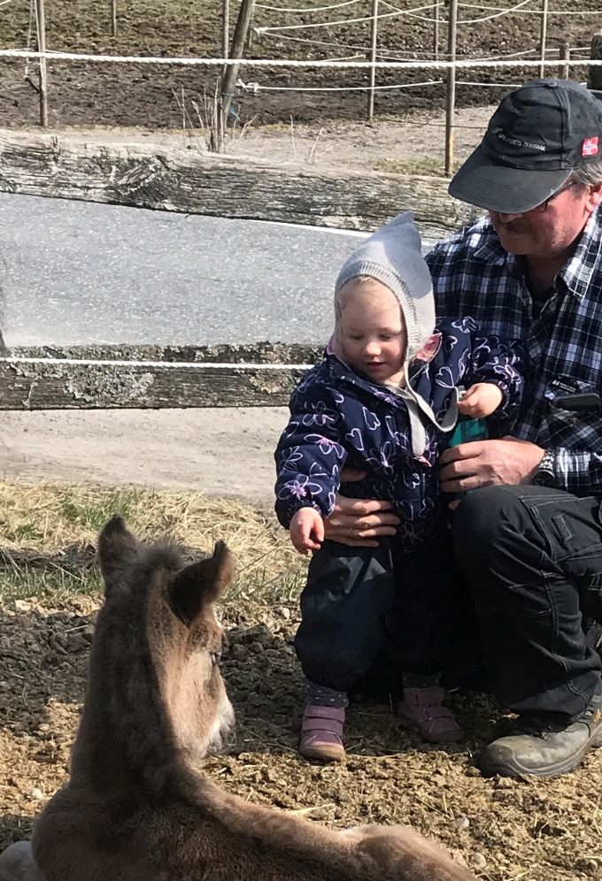 Gustav med barnebarnet Lilly Sofie og Lille Rose G.L.