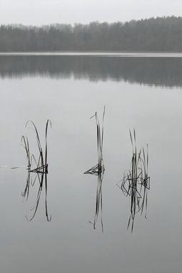 F44, Hinnasjön Växjö