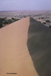 Gobabeb from Station dune