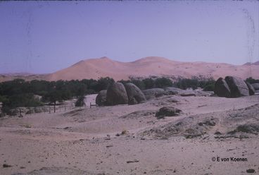 Landscape at VIlla 3